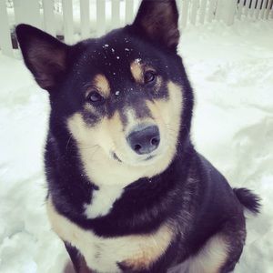 Meet your Posher, Kiera lewis